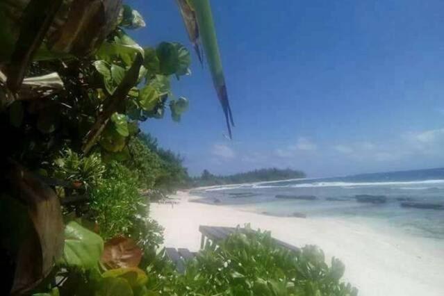 Moorea Temae Bungalow Lory Bord De Mer Экстерьер фото